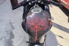 Motorcycle-Wraps-in-San-Antonio-By-MC-Wraps-1